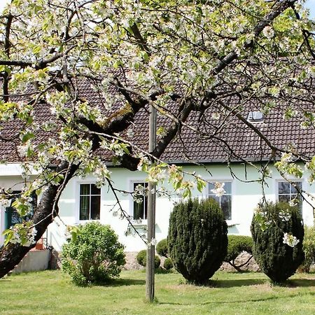 Pension Gestüt Lindenhof Templin Exterior foto