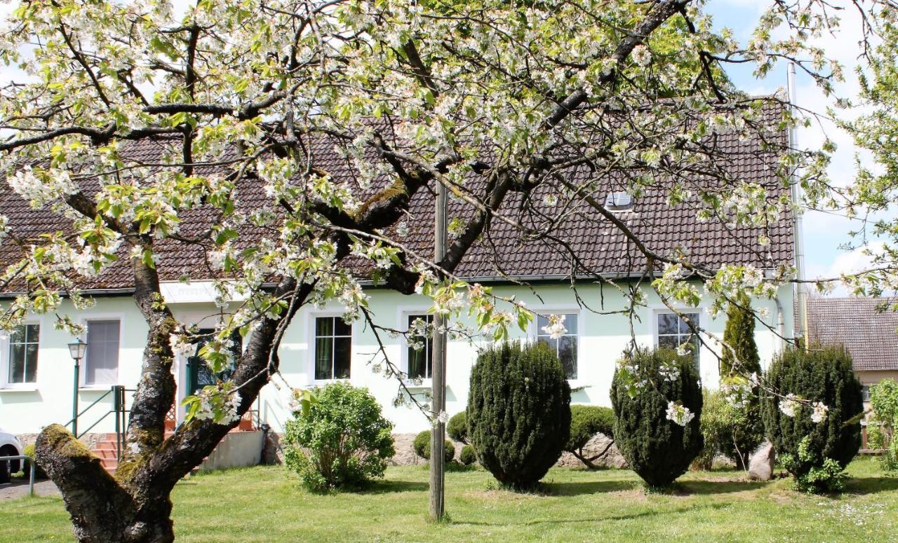 Pension Gestüt Lindenhof Templin Exterior foto